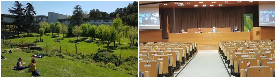 巴塞羅那大學(xué)